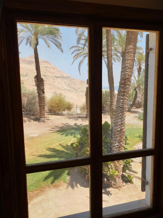 הצימר של יהושע Ein Gedi Esterno foto