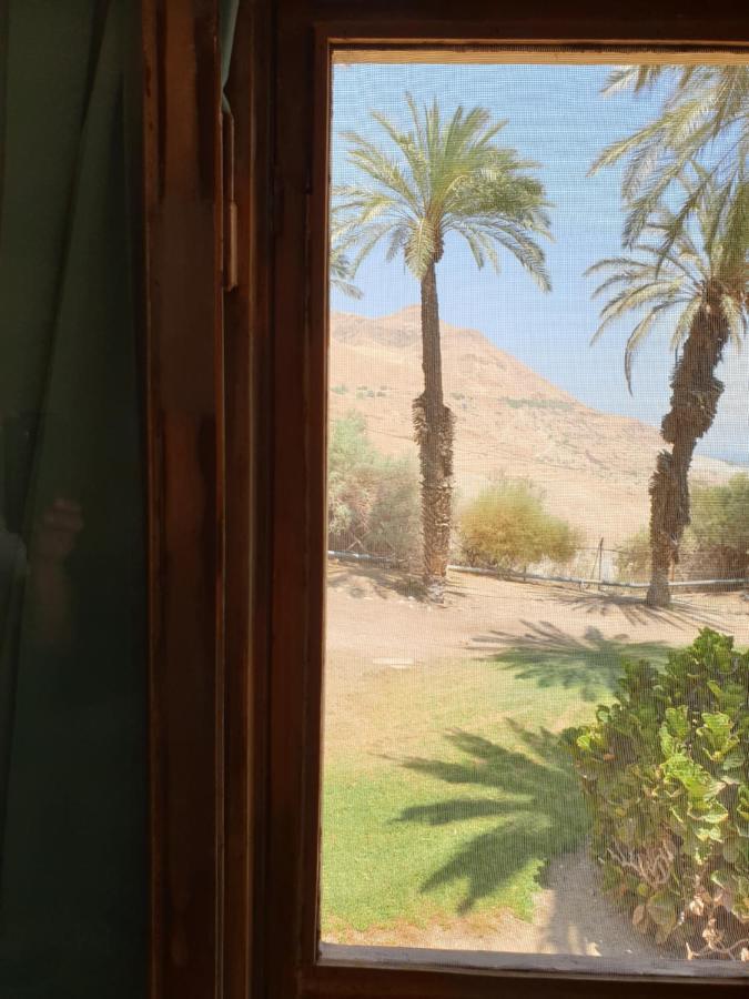 הצימר של יהושע Ein Gedi Esterno foto